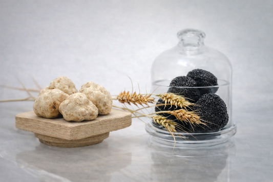 Clases de Trufa Negra y Trufa Blanca: Guía Completa para Elegir con Criterio