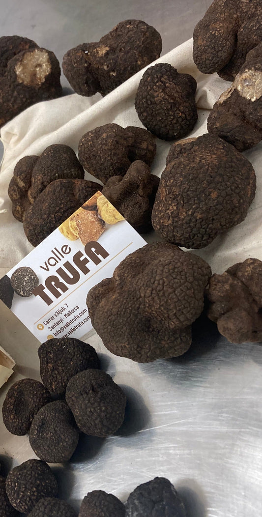 Trufa de verano en Mallorca: aprovisionamiento gourmet para restaurantes y chefs privados