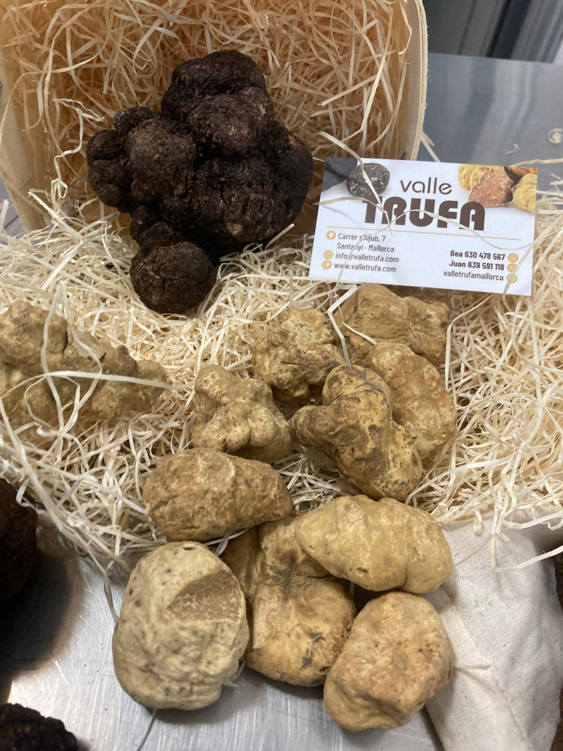 Encuéntranos en el Christmas Market de Puerto Portals: Trufa Blanca Fresca y Productos Gourmet de Lujo - VALLE TRUFA MALLORCA