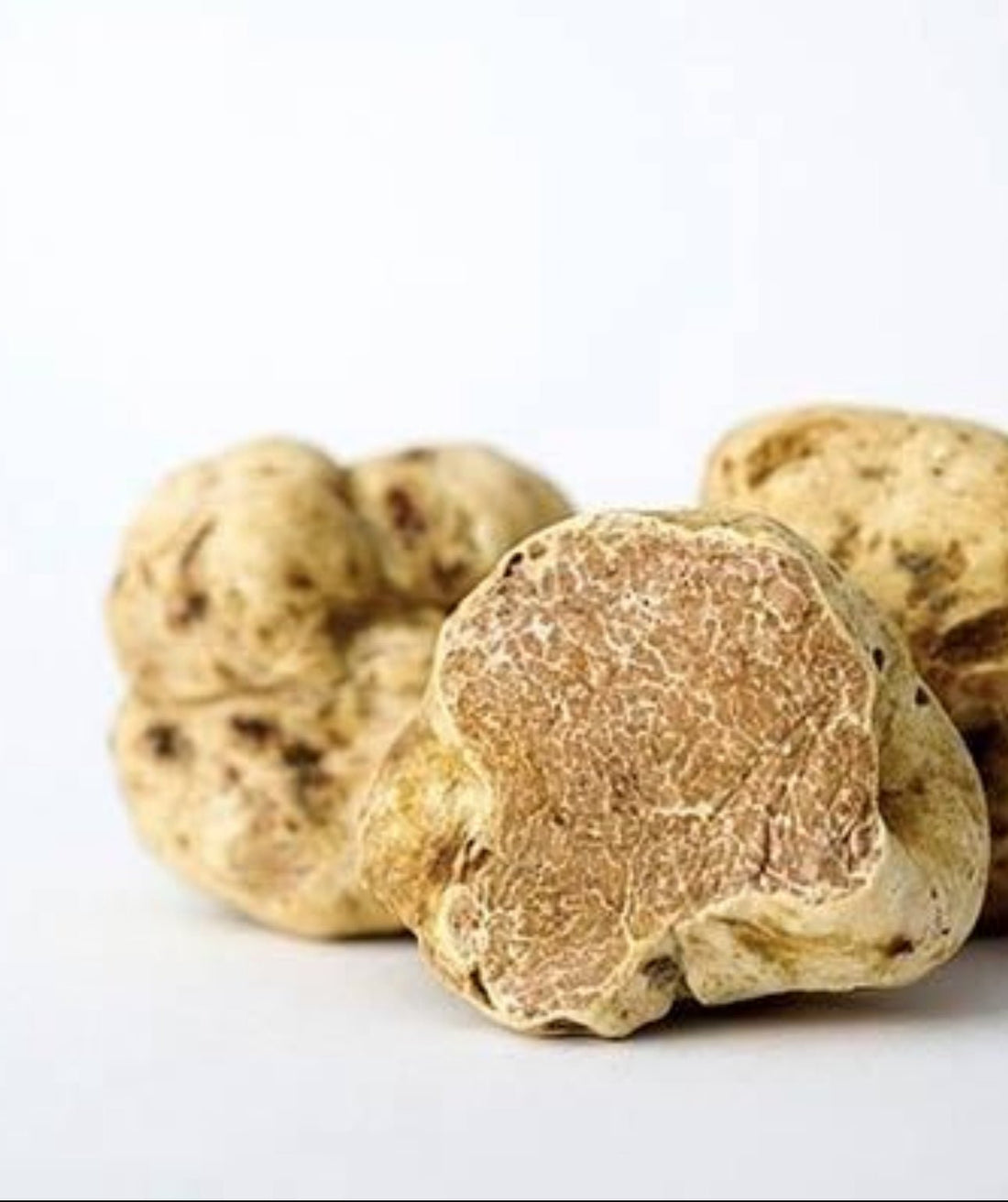 Última Oportunidad: La Temporada de Trufa Blanca Termina el 31 de Diciembre - VALLE TRUFA MALLORCA