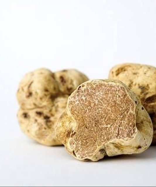 Última Oportunidad: La Temporada de Trufa Blanca Termina el 31 de Diciembre - VALLE TRUFA MALLORCA